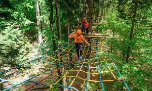 Emoción adrenalínica para toda la familia