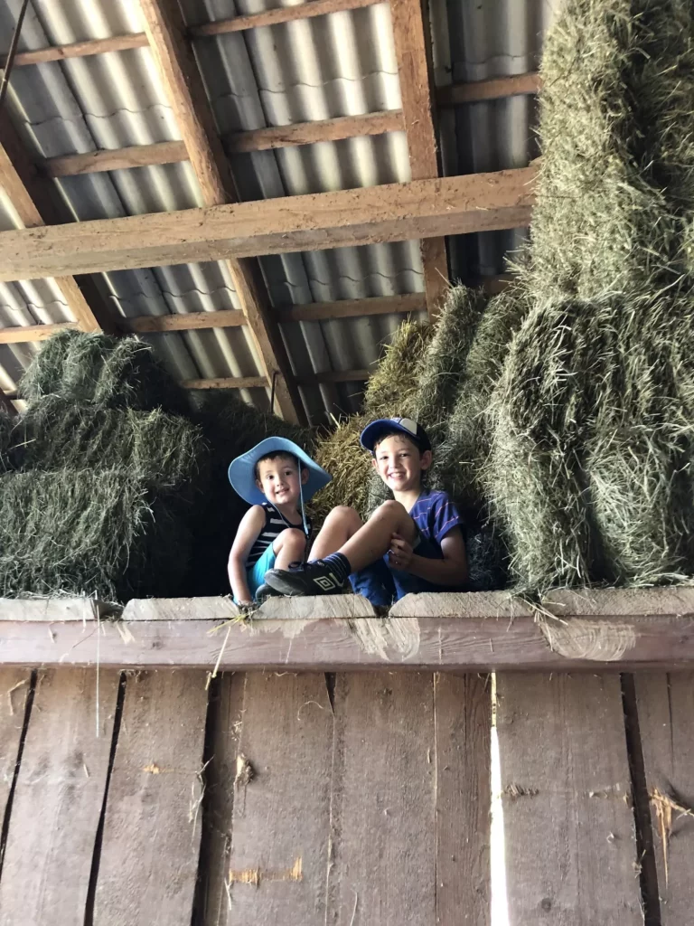 Niños de Farmlife