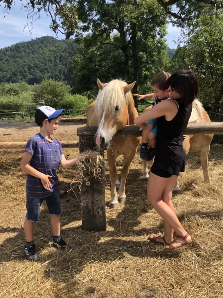 Alimentación de los caballos