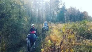 Montar a caballo con niños