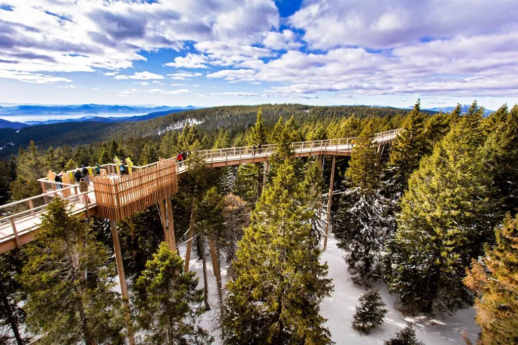 paseo por las copas de los árboles rogla